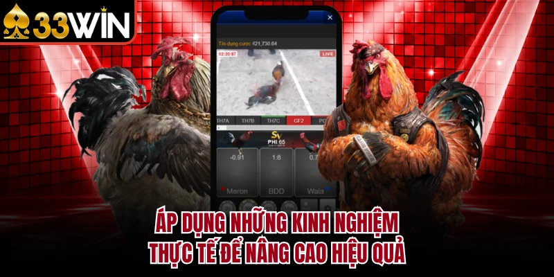 ĐÁ GÀ 8 Áp dụng những kinh nghiệm thực tế để nâng cao hiệu quả