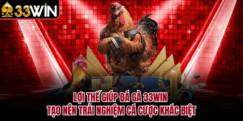 ĐÁ GÀ 6 Lợi thế giúp đá gà 33Win tạo nên trải nghiệm cá cược khác biệt